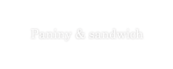 Paniny&sandwich
